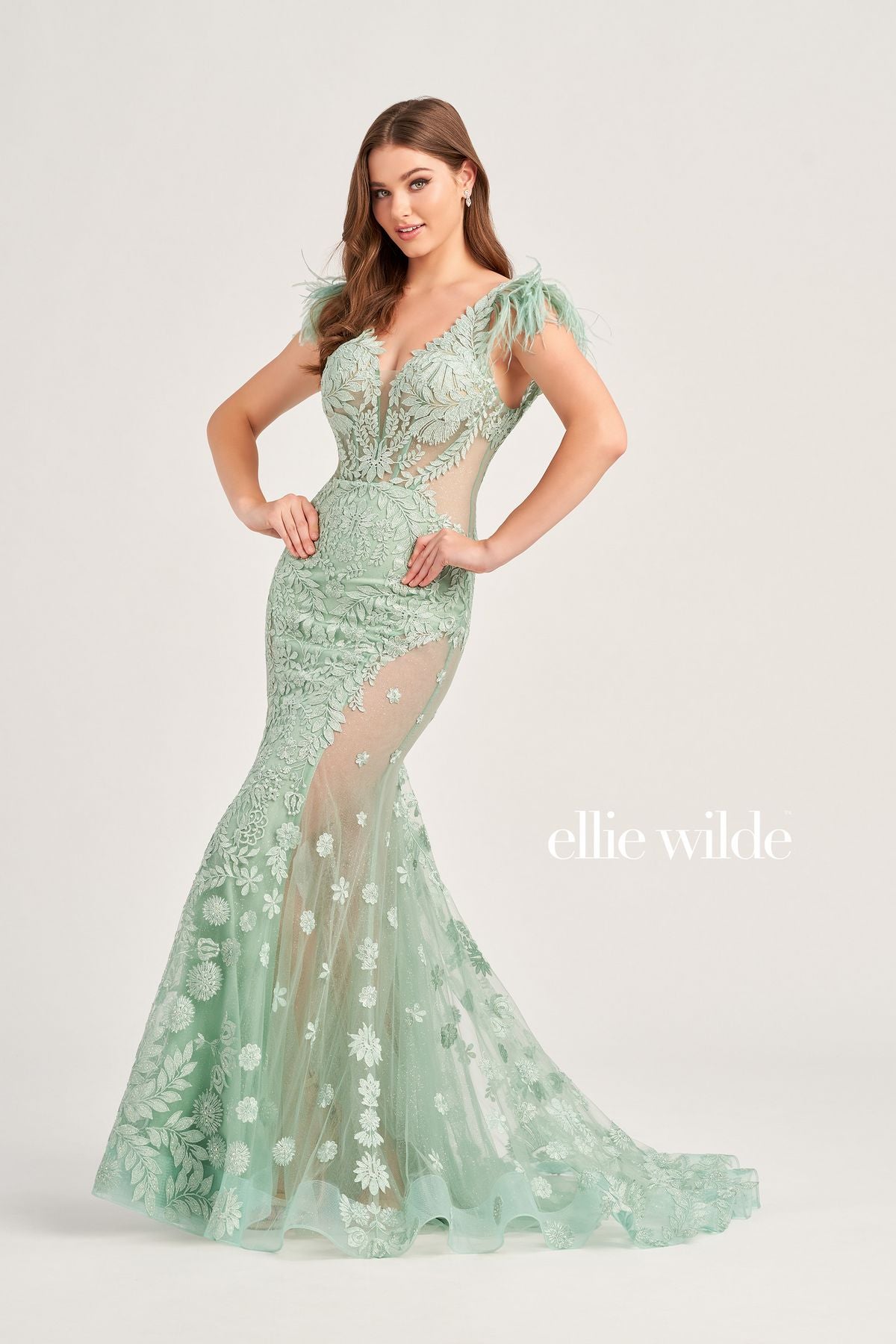 Prom Dresses Prom Long Formal Detachable Feather Dress Sage