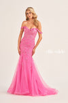 Prom Dresses Long Mermaid Fitted Applique Prom Dress Hot Pink