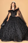 Quinceniera Dresses Long Ball Gown Mesh Quinceanera Dress Black