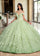 Quinceniera Dresses Long Quinceniera 3D Flowers Ball Gown Sage