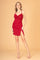 Homecoming Prom Short  Dress - The Dress Outlet