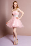 Homecoming Short Strapless Prom Dress - The Dress Outlet