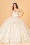 Long Ball Gown Quinceanera Dress - The Dress Outlet