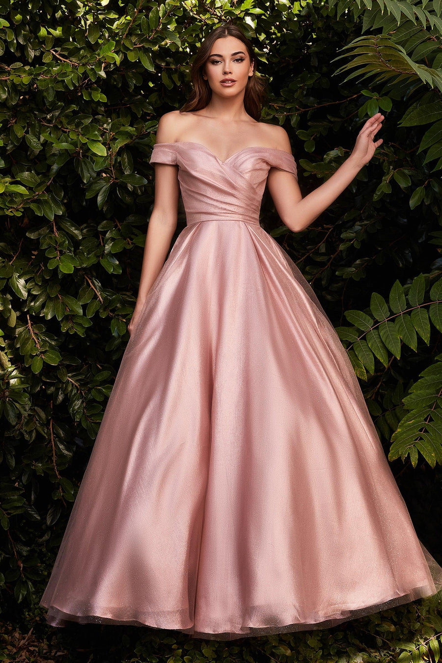 Long Prom A Line Off Shoulder Dress Blush