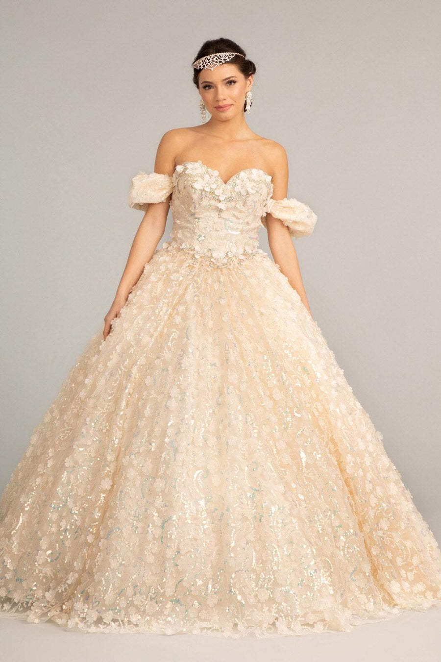 Long Quinceanera Dress Off Shoulder Mesh Ball Gown - The Dress Outlet