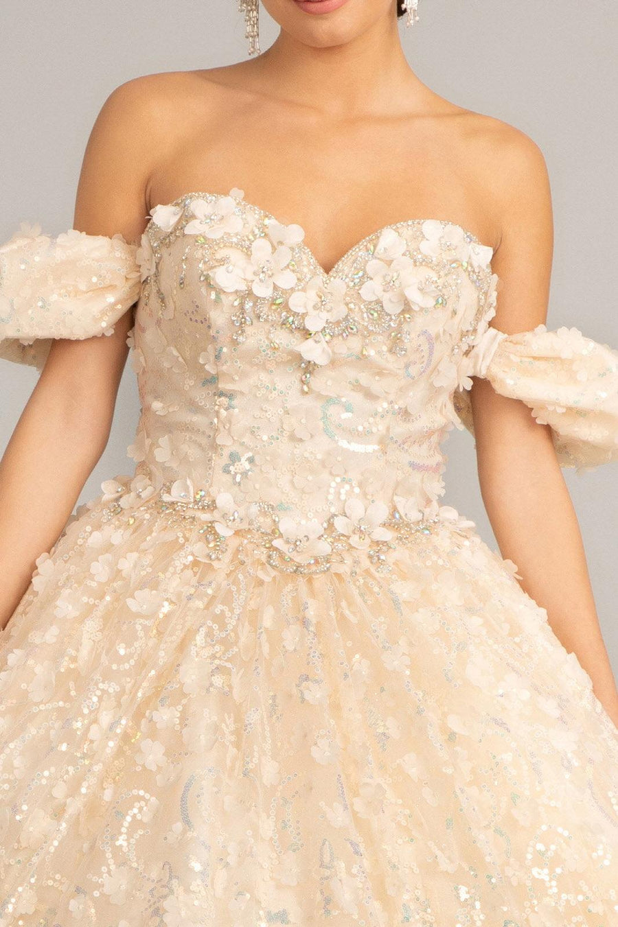 Long Quinceanera Dress Off Shoulder Mesh Ball Gown - The Dress Outlet