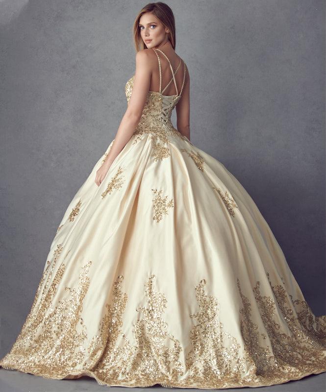 Long Quinceanera Dress Sweet 16 Ball Gown - The Dress Outlet