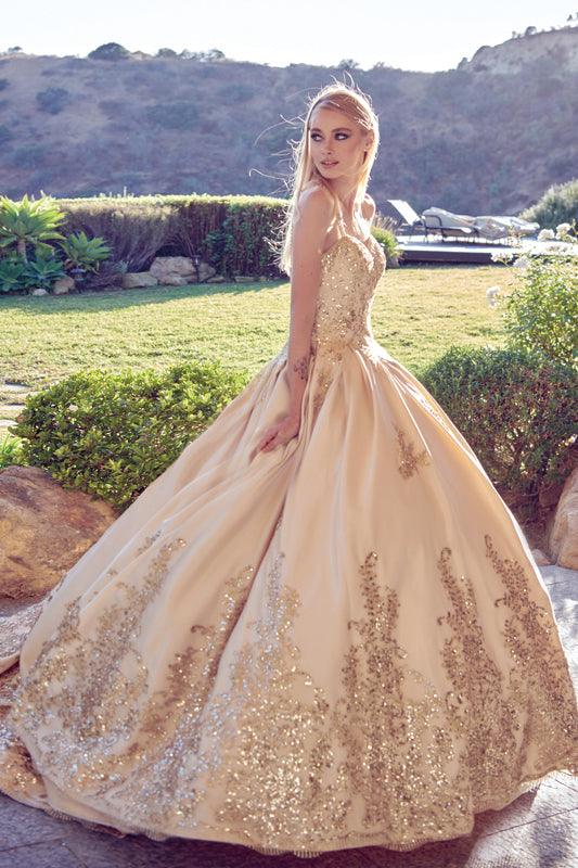 Long Quinceanera Dress Sweet 16 Ball Gown - The Dress Outlet