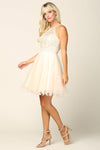 Prom Short Halter Homecoming Cocktail Dress - The Dress Outlet