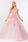 Quinceanera Sweet 16 Long Mesh Gown - The Dress Outlet