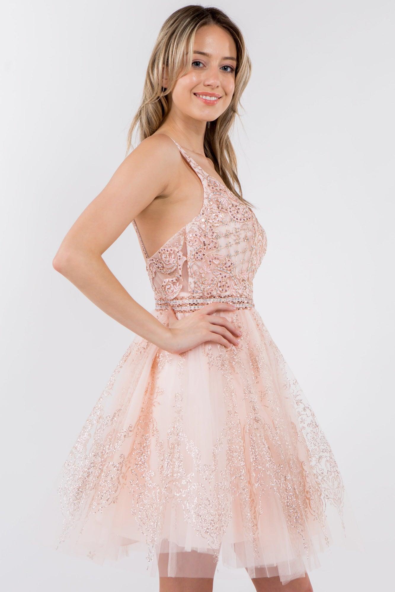 Sleeveless Embroidered Short Homecoming Dress - The Dress Outlet