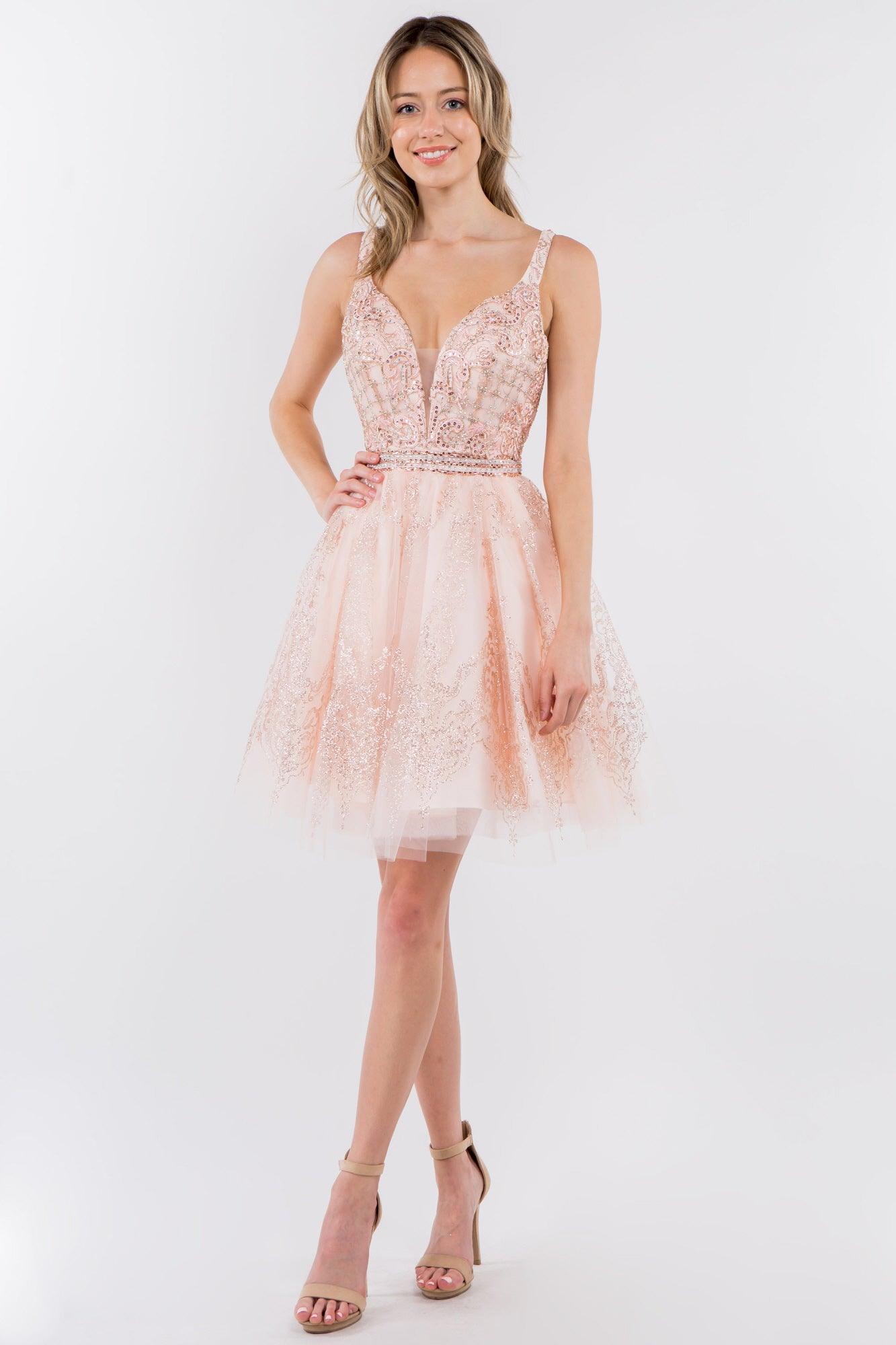 Sleeveless Embroidered Short Homecoming Dress - The Dress Outlet