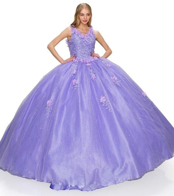 Sleeveless Long Quinceanera Dress - The Dress Outlet