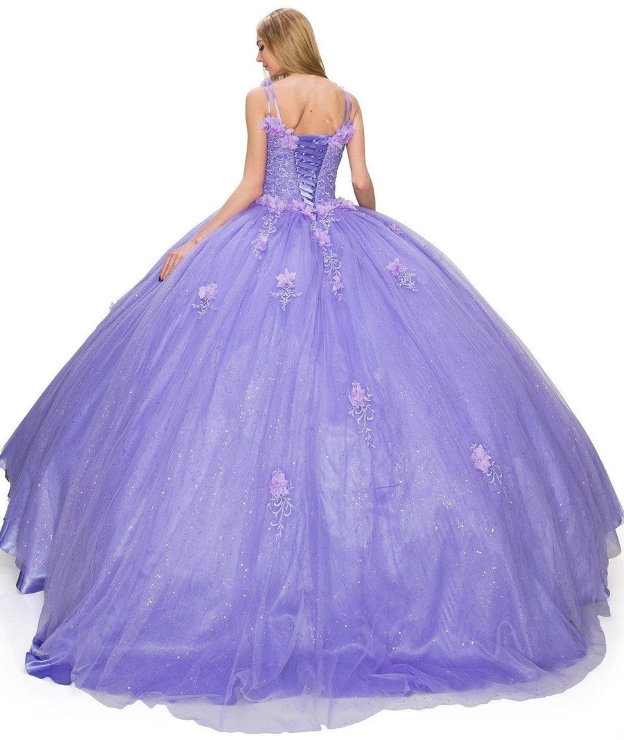 Sleeveless Long Quinceanera Dress - The Dress Outlet