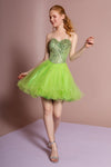 Strapless Tulle Short Prom Dress - The Dress Outlet