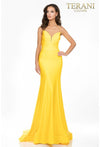 Terani Couture Formal Long Prom Gown 2011P1234 - The Dress Outlet