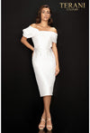 Terani Couture Fitted Short Dress 2011C2009 - The Dress Outlet