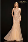 Terani Couture Sleeveless Illusion Long Prom Dress 2011P1452 - The Dress Outlet